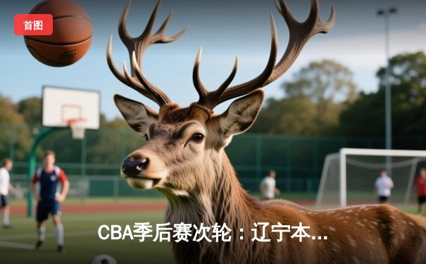 CBA季后赛次轮：辽宁本钢逆转广东东莞大益，赵继伟砍下28分创个人季后赛新高